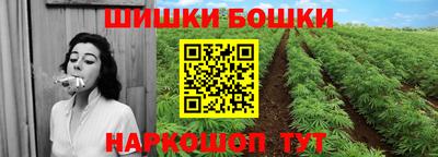 СК Пенза